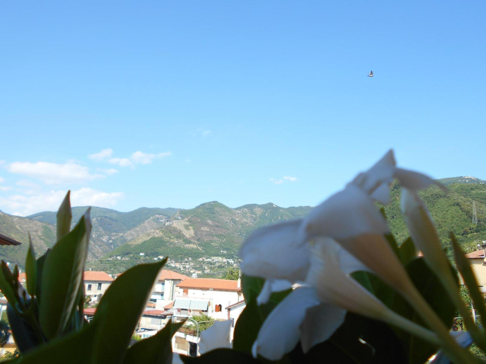 Appartamento Mare E Monti Pimonte Exteriér fotografie